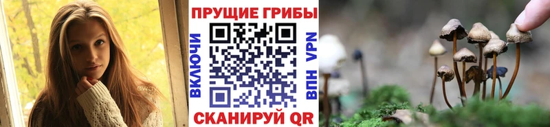 Галлюциногенные грибы MAGIC MUSHROOMS  купить  сайты  Азов 