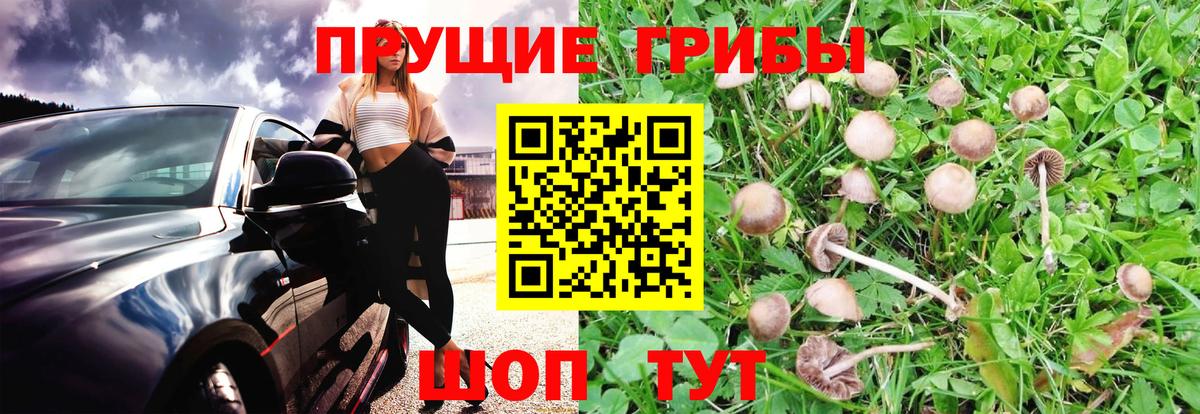 Галлюциногенные грибы MAGIC MUSHROOMS  Вход с VPN  Псилоцибиновые грибы прущие грибы  Азов 