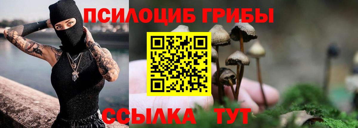 Псилоцибиновые грибы мицелий Азов